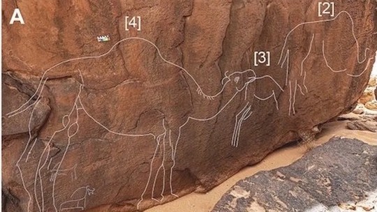 Entalhes de camelos em tamanho real na Arábia Saudita intrigam cientistas