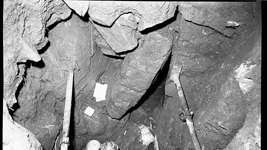Casos de peste de 4 mil anos são detectados em ossadas na Grã-Bretanha
