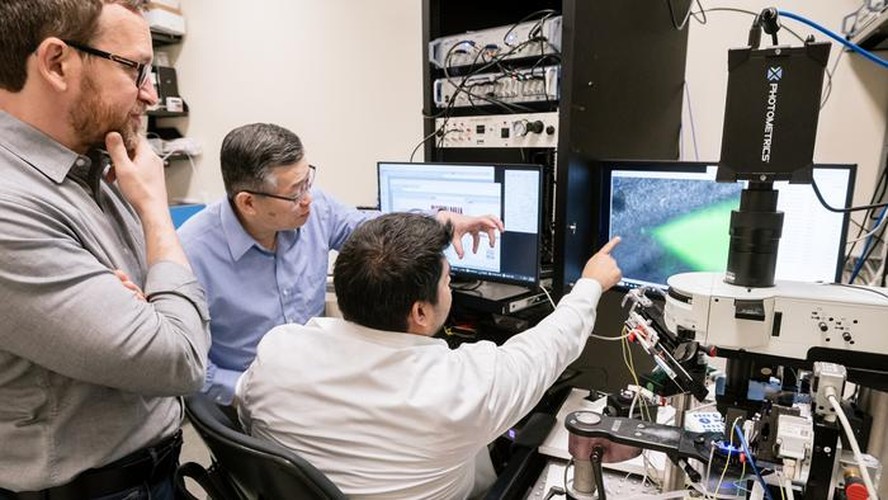 Da esquerda para a direita, os cientistas de Gladstone, Misha Zilberter, Yadong Huang e Dennis Tabuena, examinam as conclusões de sua pesquisa, publicada na revista Nature Aging