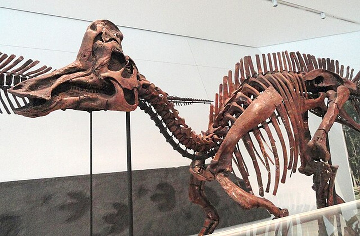 Projeto reconstitui os sons que dinossauros faziam há 70 milhões de anos; escute
