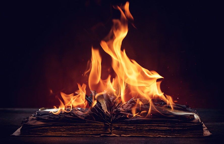 Livro pegando fogo