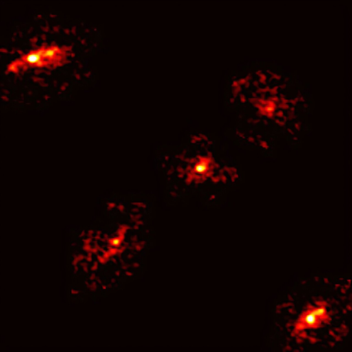 Estrutura invisível é descoberta no meio de uma rara cruz de Einstein no espaço