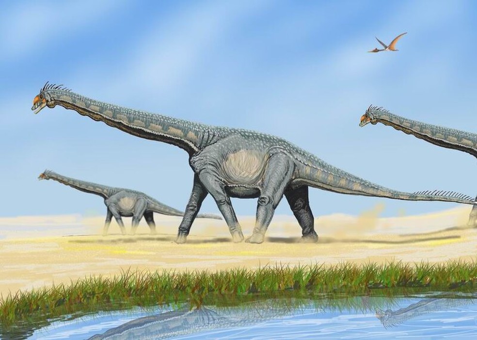 Um dos maiores dinossauros já existentes, o Alamosaurus podia chegar a 30 metros de comprimento, com massa superior à 70 toneladas — Foto: Wikimedia Commons