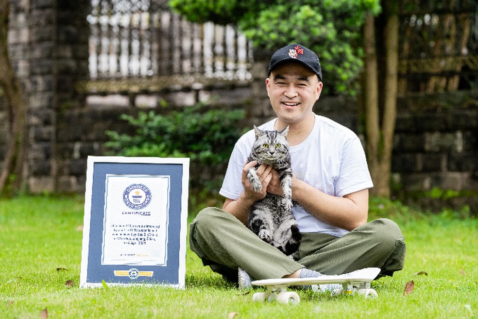 Conheça Bao Zi, gato que entrou para o Guinness por sua velocidade no ...