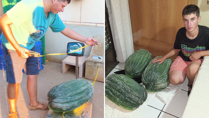 ☆ｍｅｌｏｎ☆ Adolescente cultiva melão mais pesado que máquina de lavar e bate