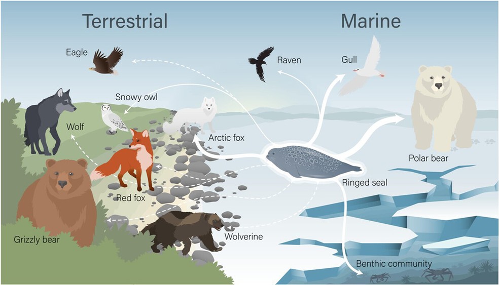  Holly EL Gamblin et al.