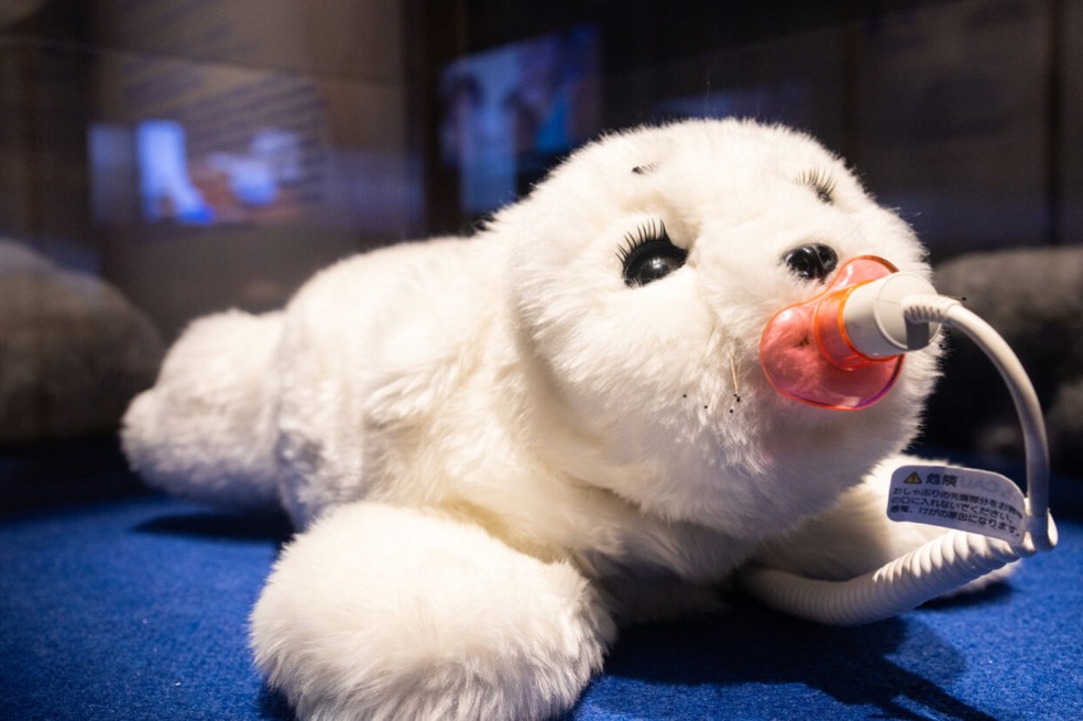 Fotografia do Paro, que imita uma foca de verdade — Foto: Marina Melchers