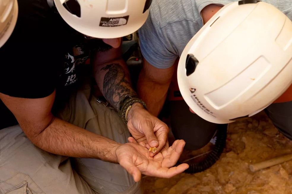 Momento da descoberta de um dente do Homo antecessor com mais de 850 mil anos em Gran Dolina (Serra de Atapuerca, Burgos) — Foto: Maria D. Guillén/IPHES