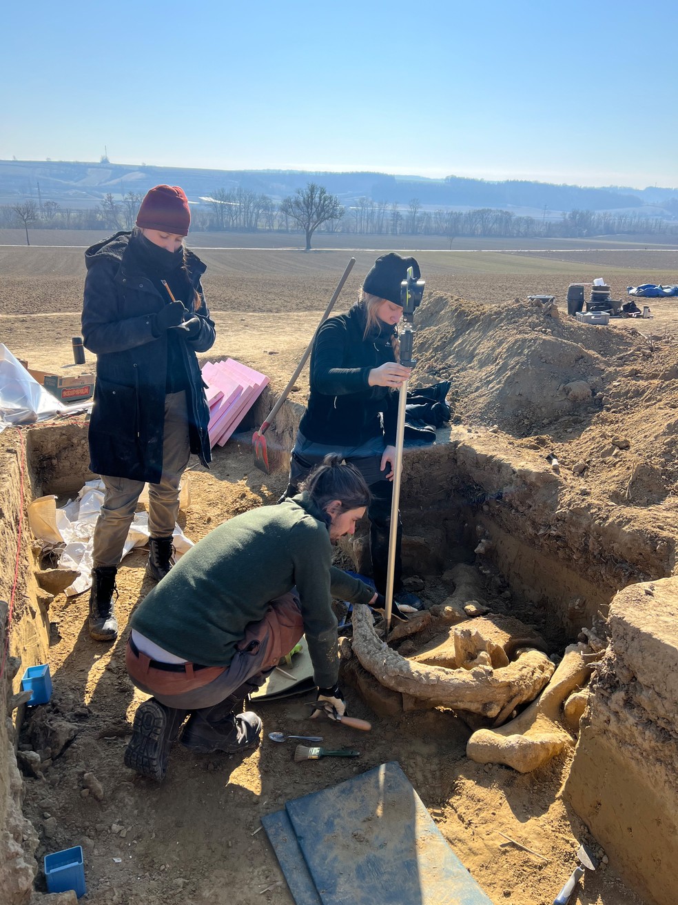 Pesquisadores trabalham em escavação que revelou ossos de mamute de 25 mil anos — Foto: © ÖAW-ÖAI/Marc Händel