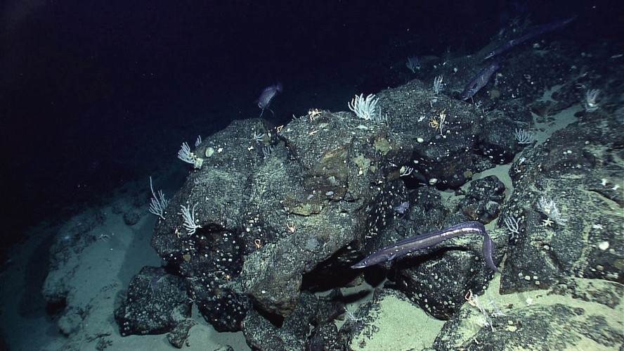 Localizado na costa do Equador, o monte submarino Paramount está entre os tipos de características do fundo do oceano que certos satélites de observação oceânica, como o SWOT, podem detectar pela forma como sua atração gravitacional afeta a superfície do mar