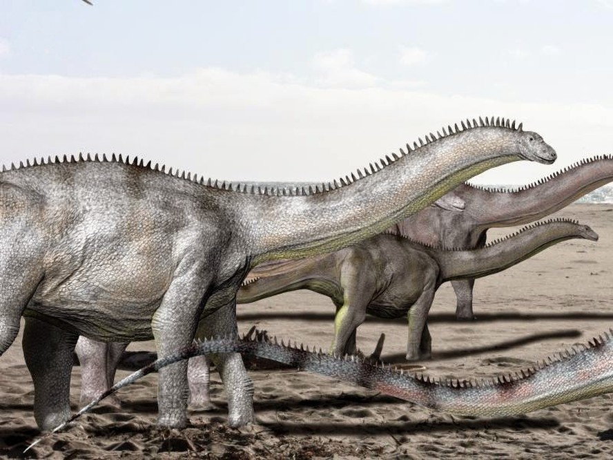 Representação do saurópode 'Brontosaurus excelsus'