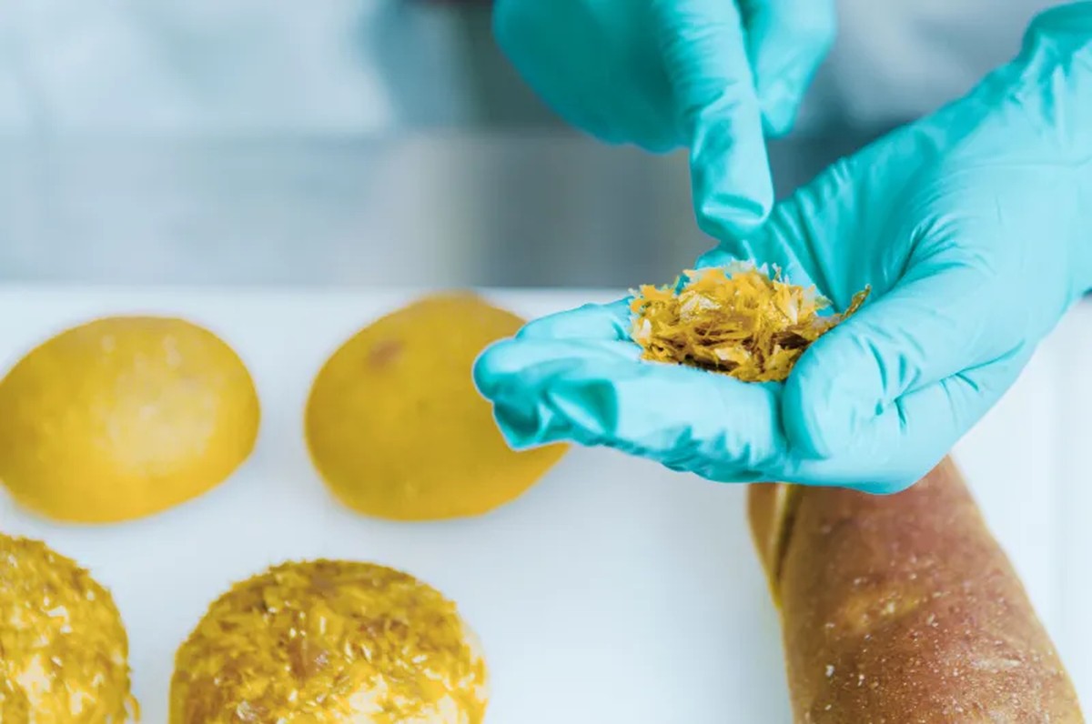 Agência Espacial Europeia quer alimentar astronautas com pó de bactéria