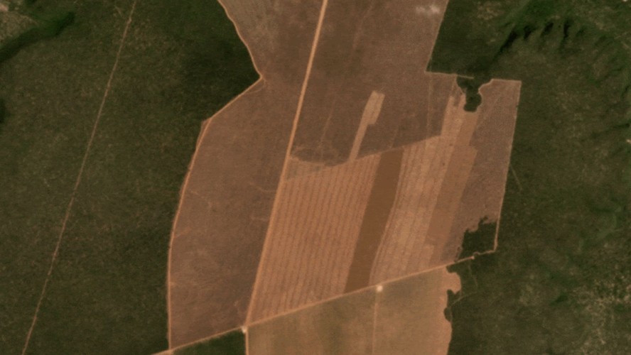O desmatamento do Cerrado nos estados Bahia, Minas Gerais e Goiás atingiu recordes históricos em fevereiro de 2023