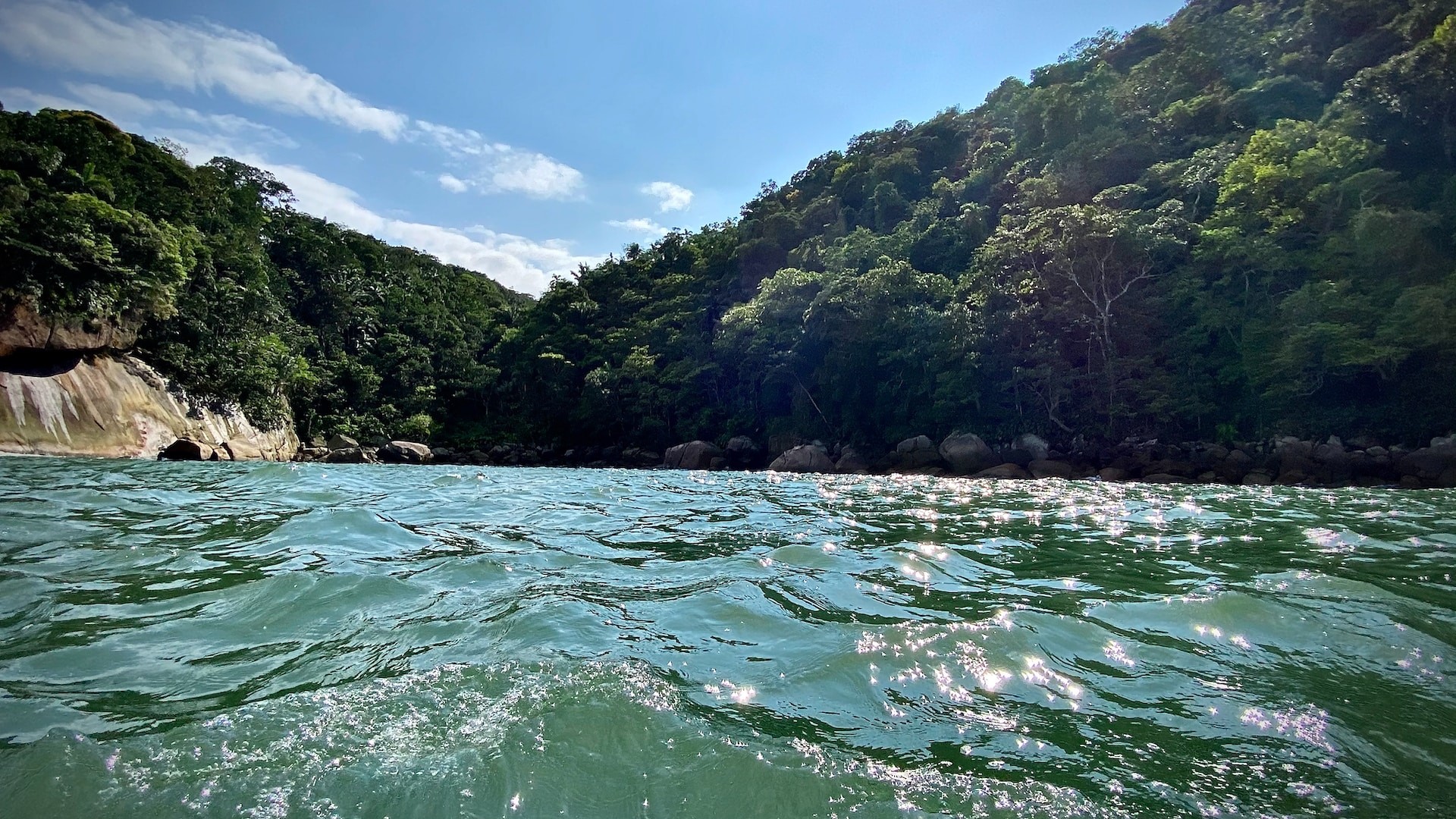 Formações rochosas no fundo do mar de Santos podem abrigar novas espécies