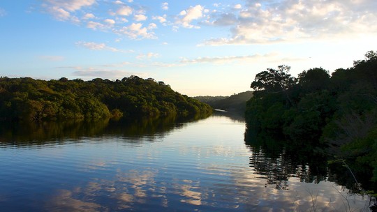 Avanço do agronegócio no Amazonas muda valores sociais e ameaça floresta