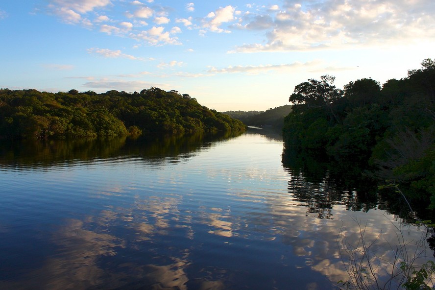 Amanhecer no Parque Nacional do Jaú, trecho da Floresta Amazônica