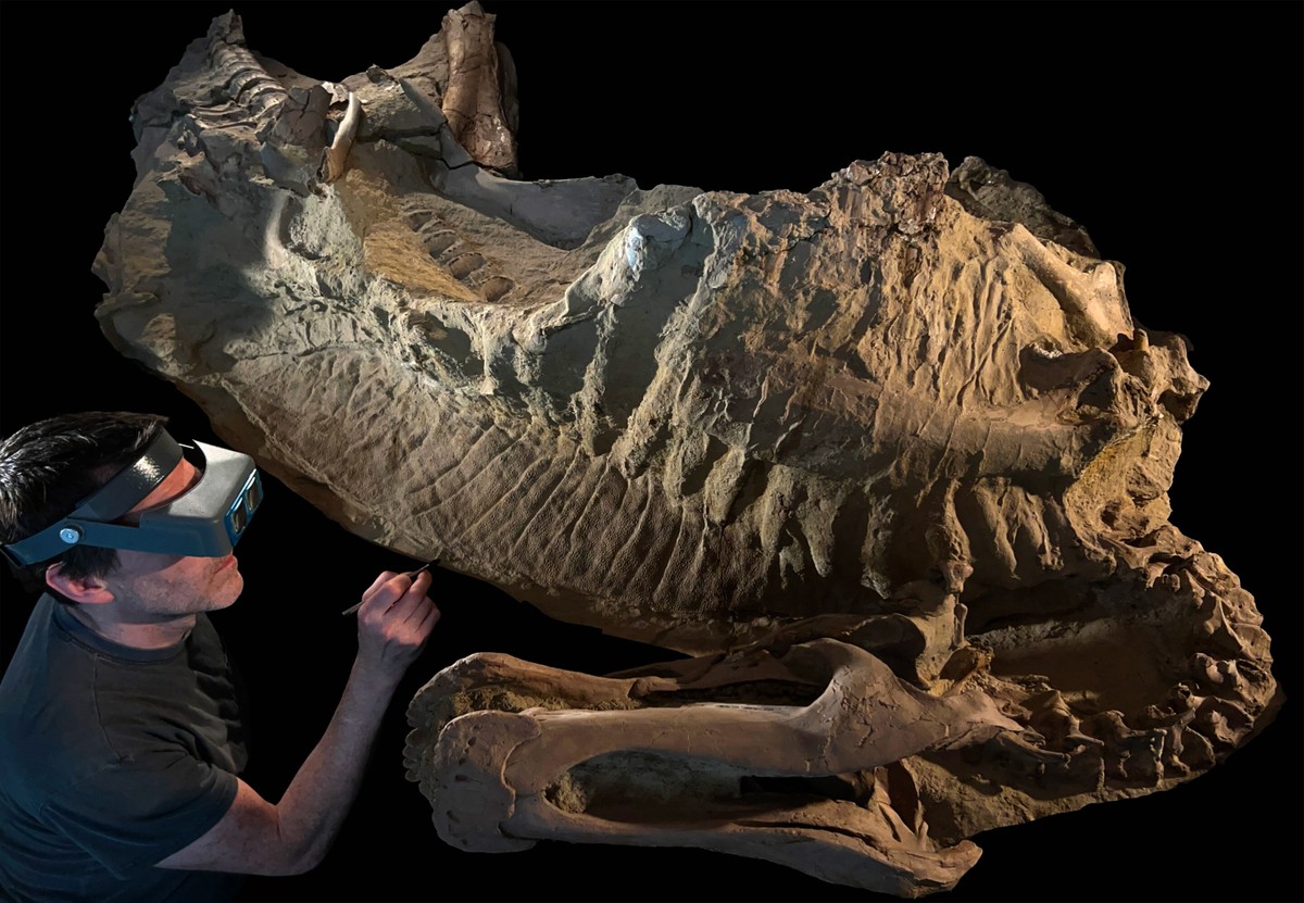 O que são e o que revelam as múmias de dinossauro descobertas nos EUA