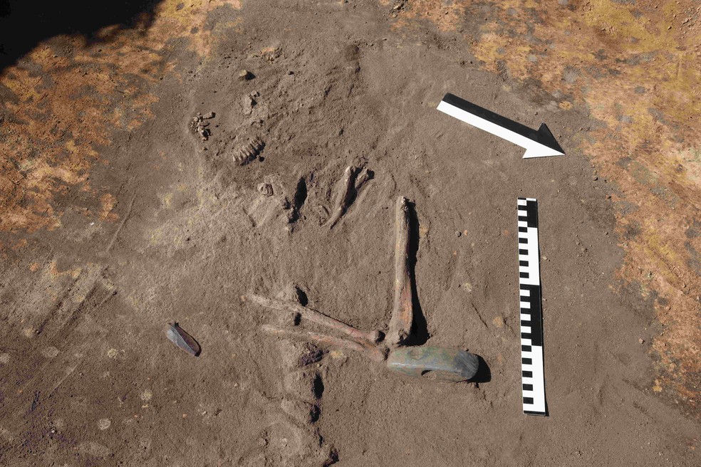 A sepultura continha um machado que os pesquisadores dataram de cerca de 2900 a.C. — Foto: Universidade de Medicina de Wrocław