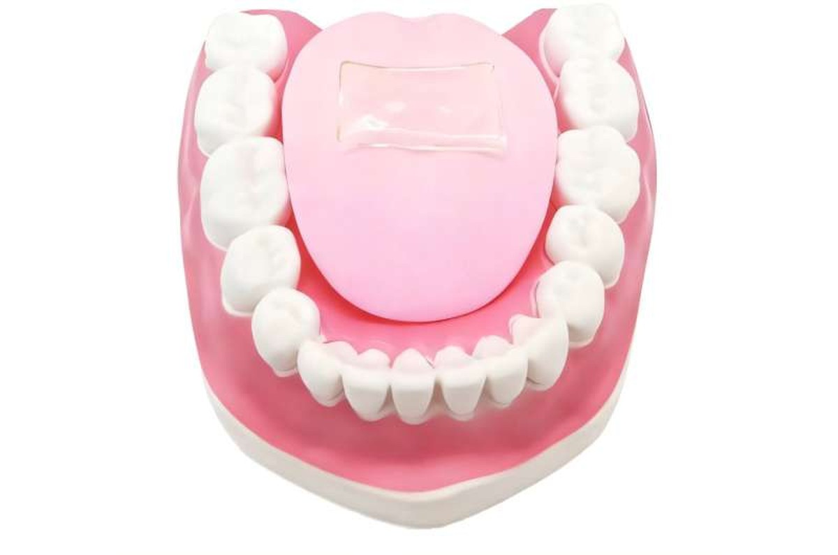 Por que cientistas criaram esta língua artificial capaz de sentir picância