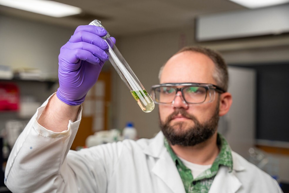 Michael Bryant inspeciona uma amostra de alface no laboratório — Foto: Emily Oswald/Texas A&M Engineering