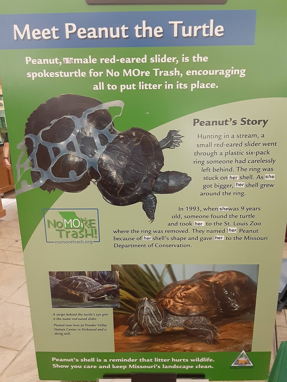 Painel informativo sobre a história de Peanut em sua festa — Foto: Reprodução/Facebook (St. Louis Scanner News)