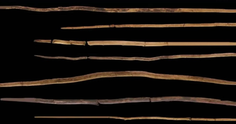 As lanças de Schöningen eram usadas para caça comunitária pelos primeiros neandertais — Foto: Matthias Vogel/ Wikimedia Commons
