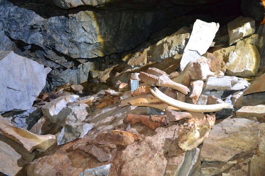 Os ossos encontrados dentro da caverna na Sibéria datam de 42