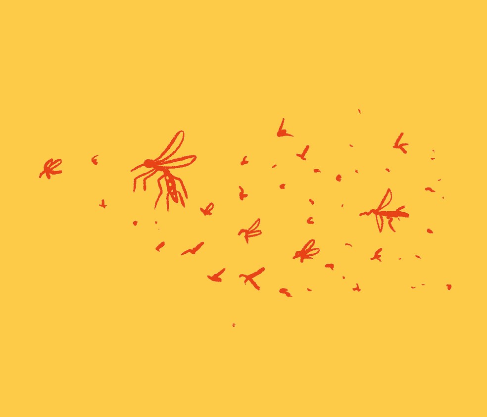 O aumento da dengue, que atingiu recordes históricos  no sul e sudeste em 2024, é reflexo direto da expansão do habitat  do mosquito Aedes aegypti. — Foto: Fralvez