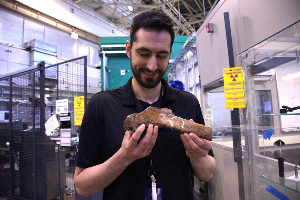Pesquisador Jerit Mitchell segurando uma costela fossilizada de Scotty — Foto: Sumner Brown Gibbs/ORNL, U.S. Dept. of Energy