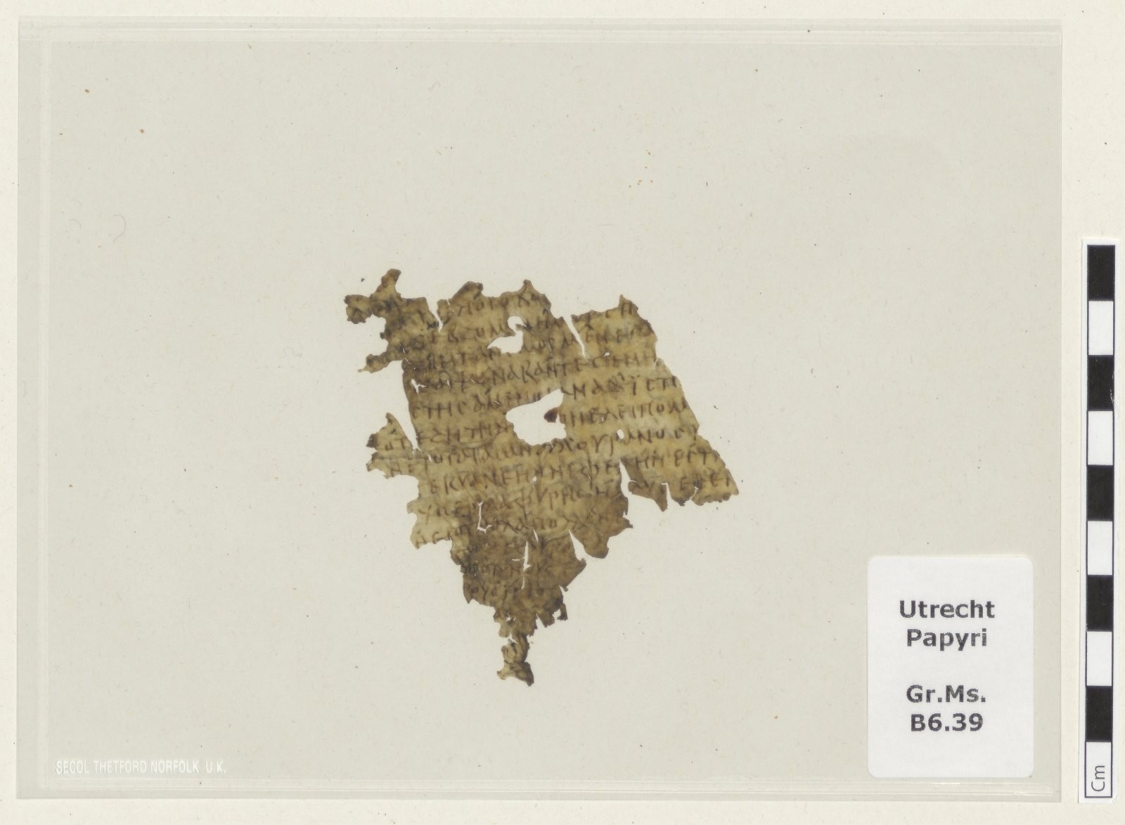 Fragmento da "Odisseia" de 1.700 anos é identificado em biblioteca na Holanda