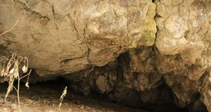 Experts brasileiros vão buscar na Romênia os traços dos últimos neandertais