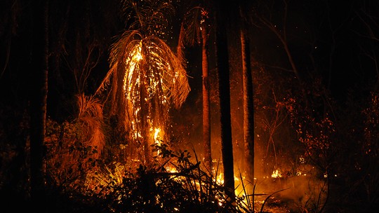 Incêndios na Amazônia dobram risco de morte entre indígenas, diz pesquisa