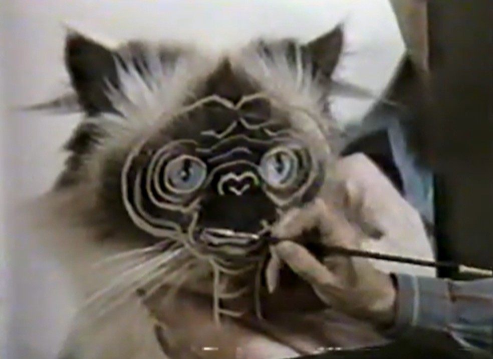 O artista se inspirou em sua gata Kika para desenvolver o visual do E.T. — Foto: Sotheby's