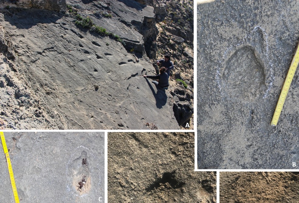 As pegadas do grupo familiar consistem em uma trilha com dez pegadas deixadas na duna costeira — Foto: Carlos Neto de Carvalho/Scientific Reports