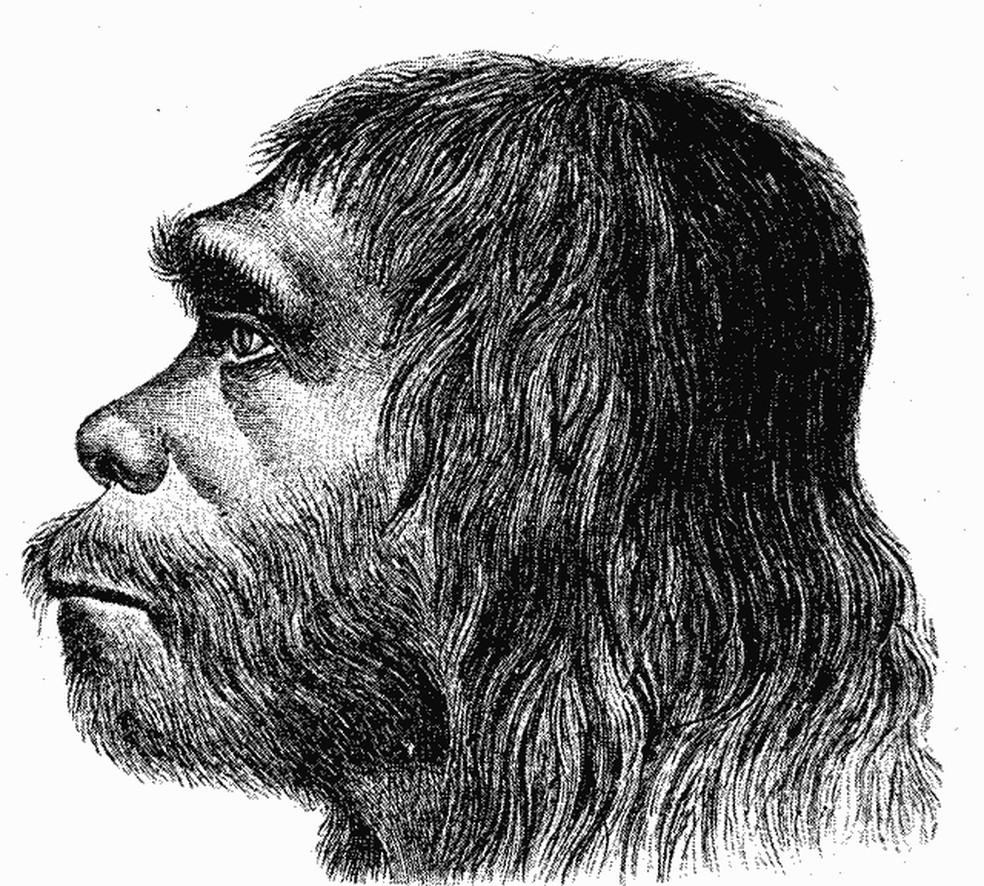 Reconstru��o facial de um Homo neanderthalensis � Foto: Wikimedia Commons/Hermann Schaaffhausen