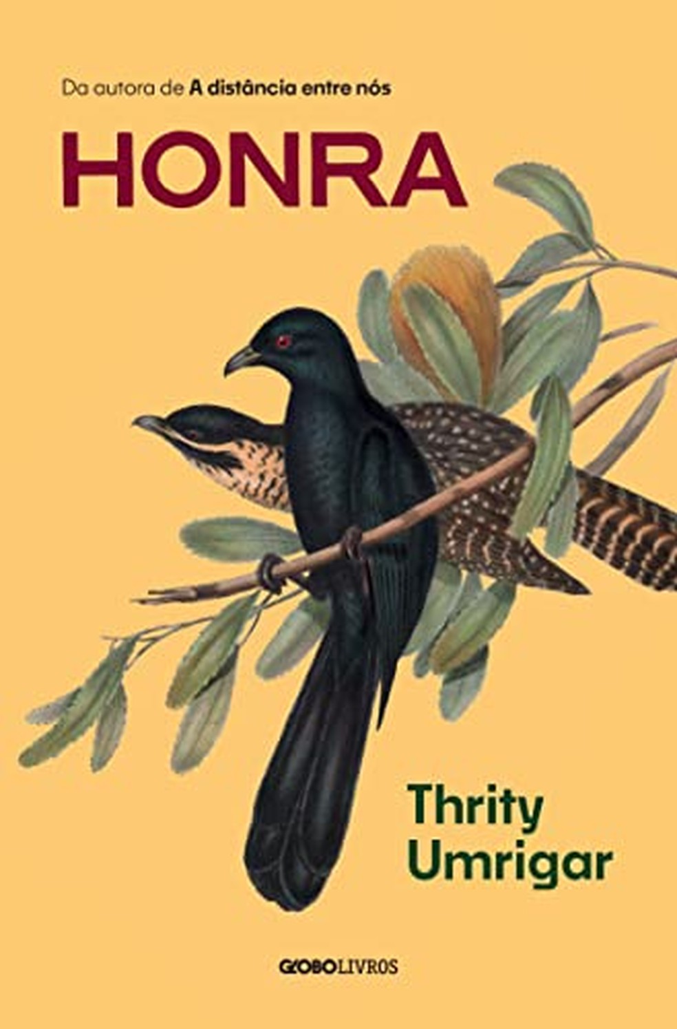 Honra, de Thrity Umrigar — Foto: Divulgação