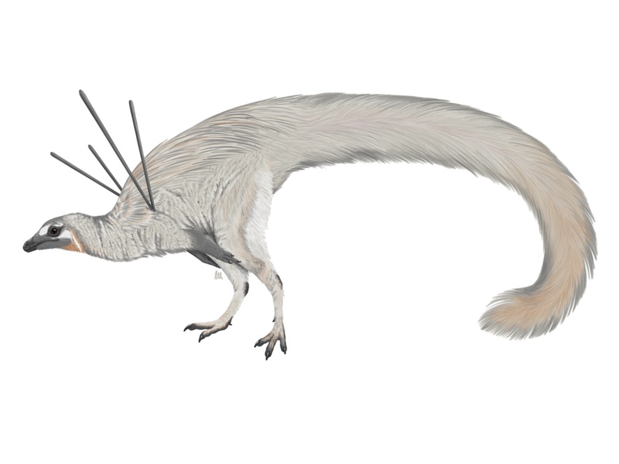 Representação de um dinossauro Ubirajara jubatus