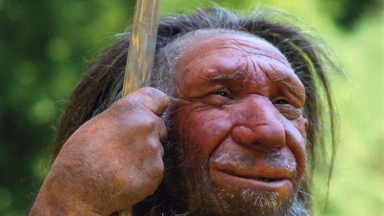Vírus humanos mais antigos foram encontrados em neandertal de 50 mil anos