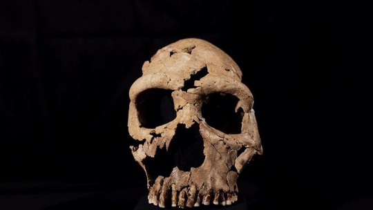 Pesquisadores recriam rosto de mulher neandertal de 75 mil anos atrás; veja
