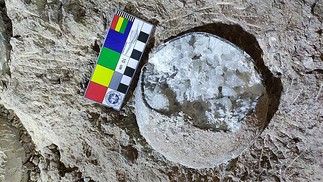 Fóssil de ovo de dinossauro coletado para geocronologia — Foto: Bi Zhao