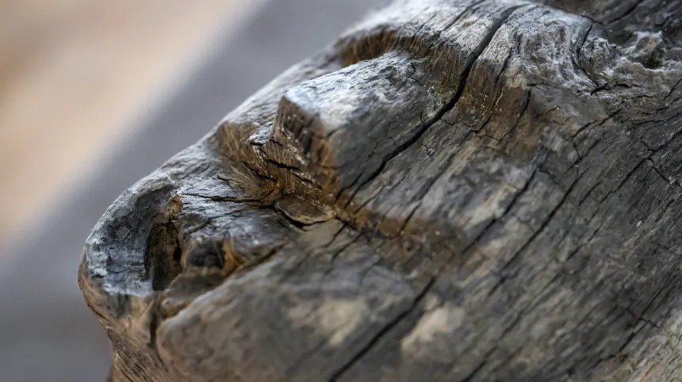 Descoberta foi apresentadA durante uma coletiva de imprensa no Museu dos Primeiros Piasts em Lednica — Foto: PAP/Jakub Kaczmarczyk
