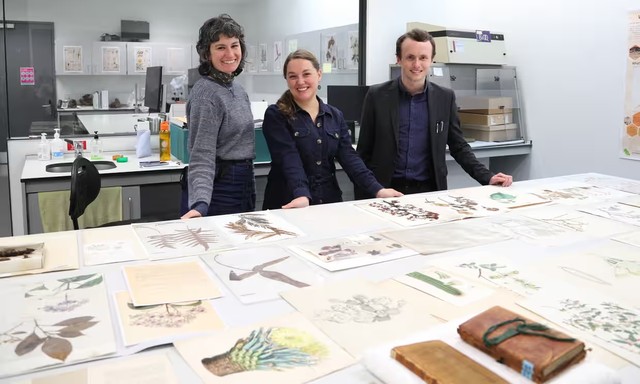 Cambridge revela plantas coletadas por Darwin que ficaram 200 anos ...