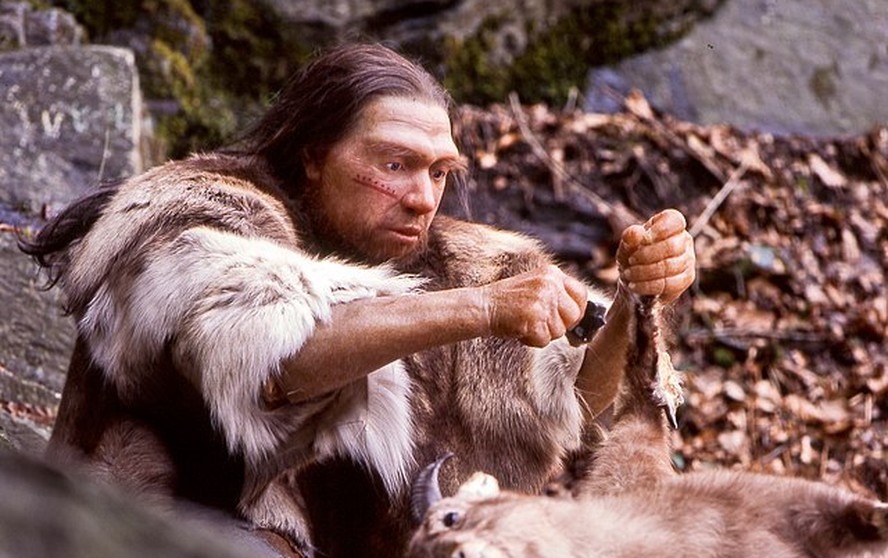 Genes de neandertais estão associados a doença que afeta homens do norte da Europa