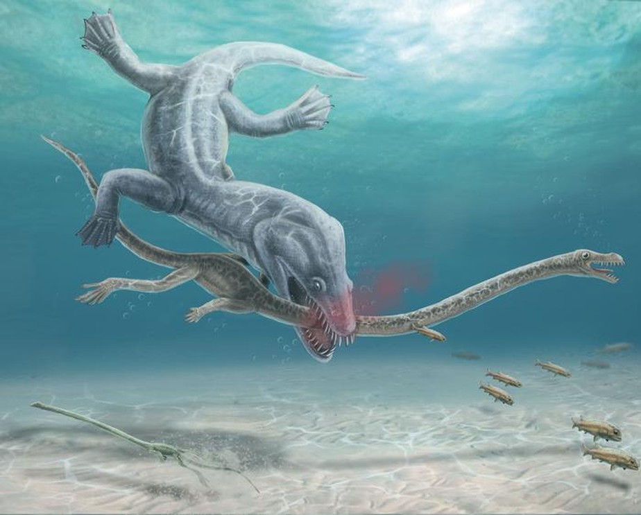 Cobras apresentaram extraordinária evolução em 100 milhões de anos
