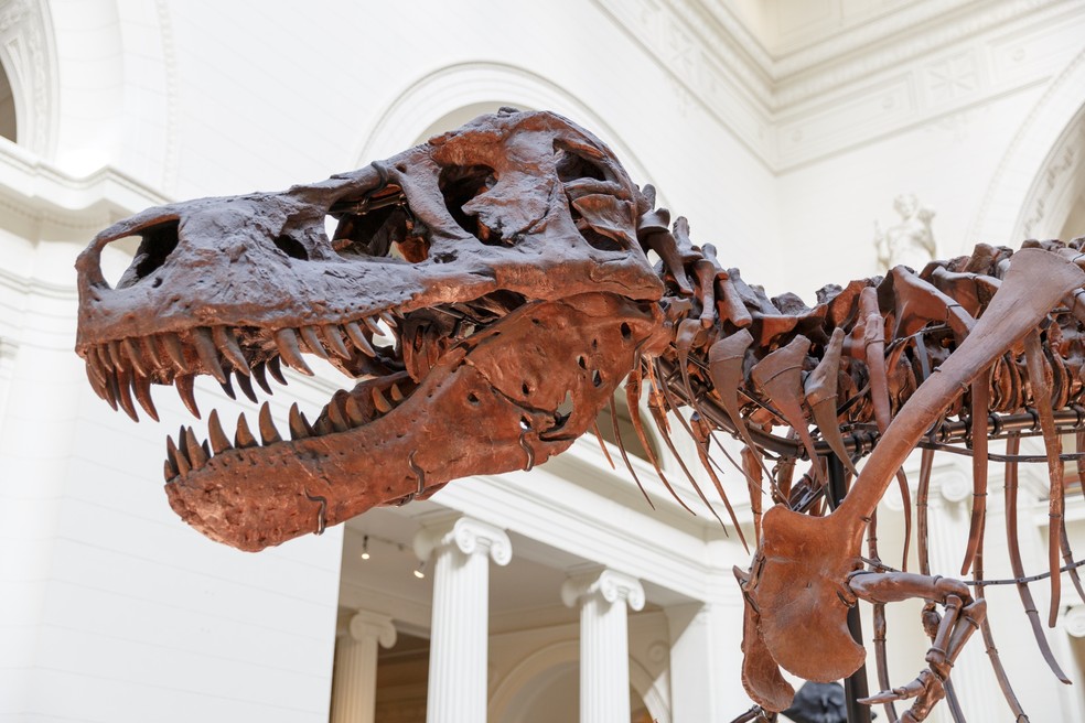Os dinossauros ficaram famosos por seus gigantes, mas um estudo mostra que a ausência de espécies realmente minúsculas pode revelar muito sobre a evolução do grupo — Foto: Petr Kratochvil/Domínio público