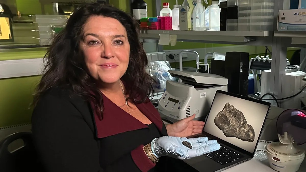 DNA revela quem mascou chiclete de 10,5 mil anos