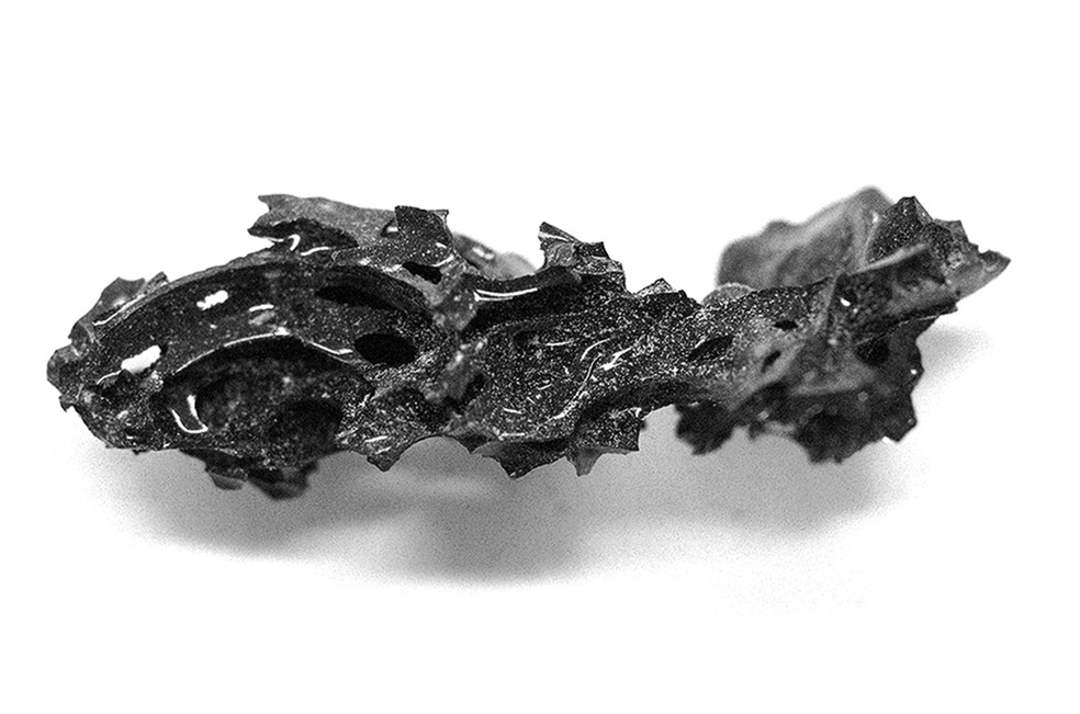 No microscópio, os cientistas conseguiram encontrar células nervosas no vidro — Foto: Pier Paolo Petrone