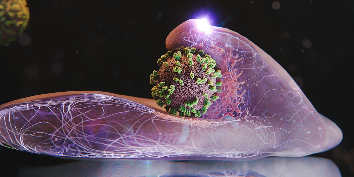 Como o vírus da gripe infecta as células? Vídeo inédito mostra ação em tempo real