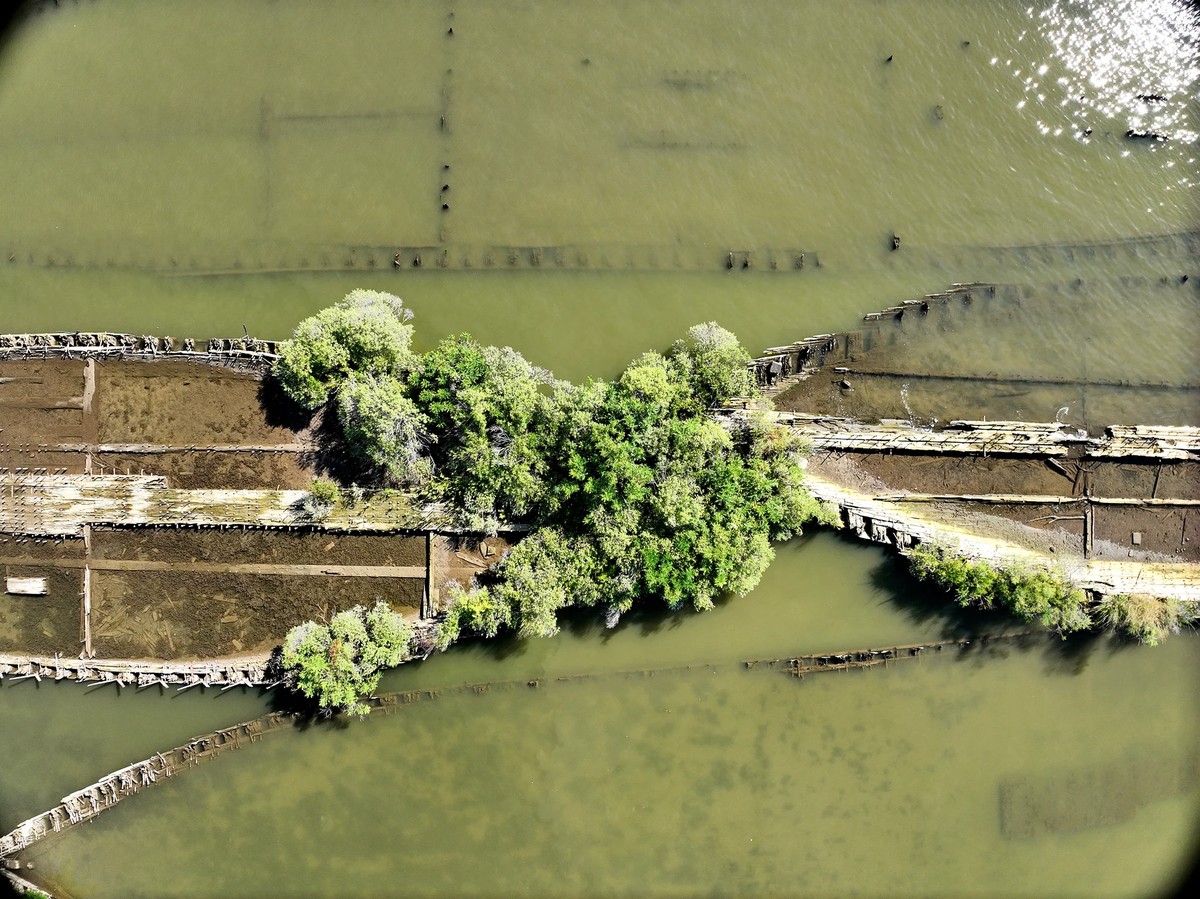 Cemitério de 147 naufrágios se tornou um santuário ecológico nos EUA