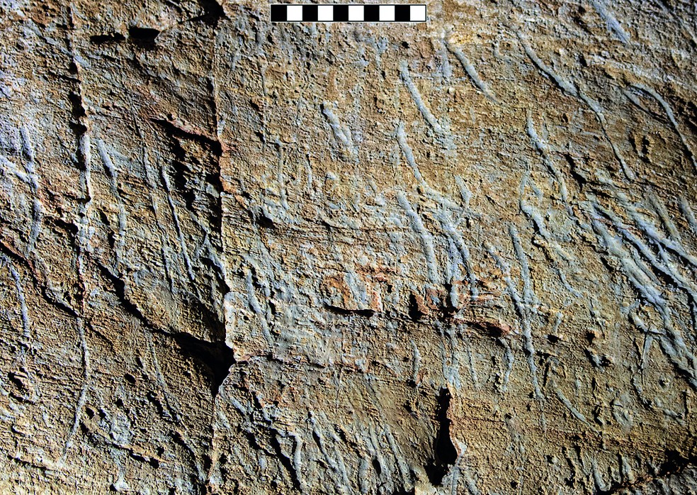 Marcas de arranhões atribuídas às garras do Ursus spelaeus na parede da Caverna de Bàsura (Toirano, Ligúria) — Foto: Vitale Stefano Sparacello et al.